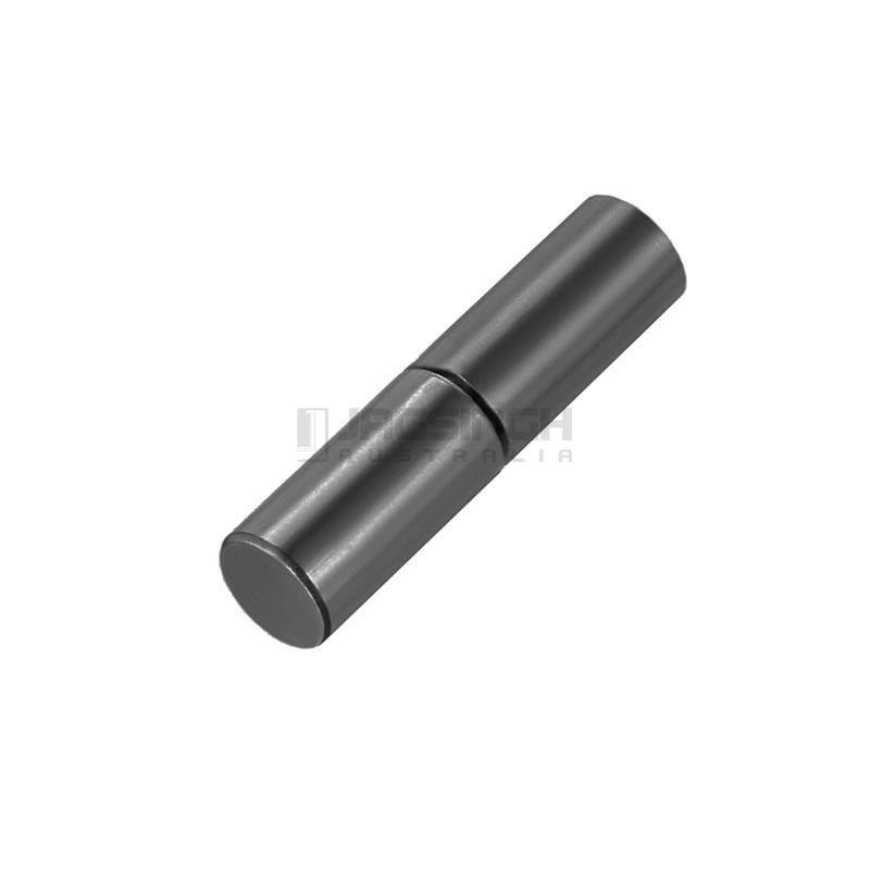 Standard Pin Hinge Jagsingh Australia